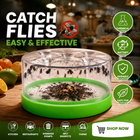 Reusable fly trap—no electricity, no poison! 🏠 Safe to use in the kitchen and around children and pets